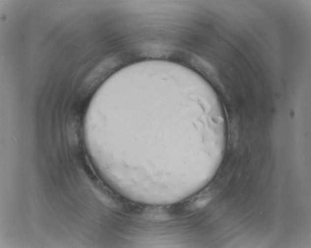 X0000060770114200512082043