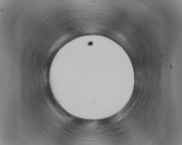 X0000060770116200512082043