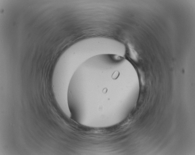 X0000060770117200512082043