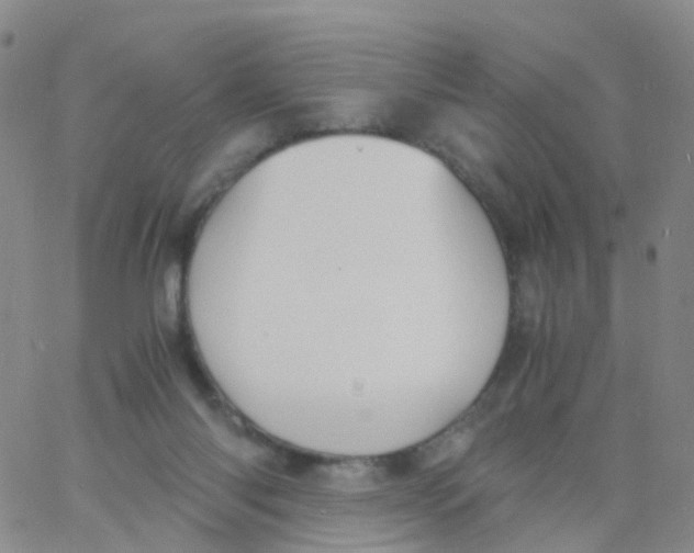 X0000060770118200512082043