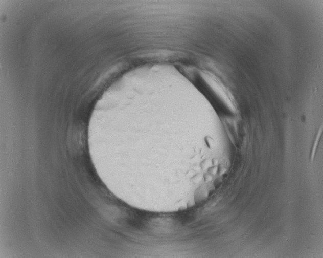 X0000060770119200512082043