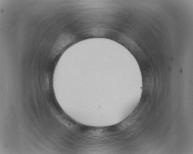 X0000060770120200512082043