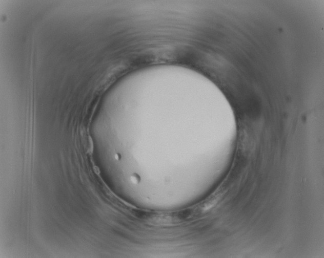 X0000060770123200512082043