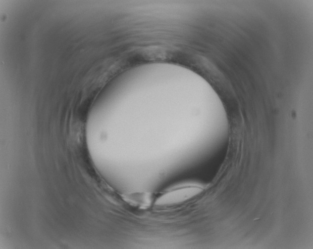 X0000060770125200512082043