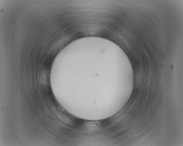 X0000060770126200512082043