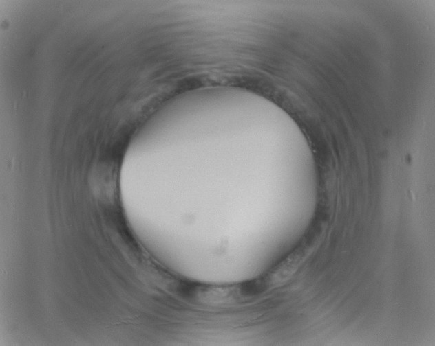 X0000060770129200512082043