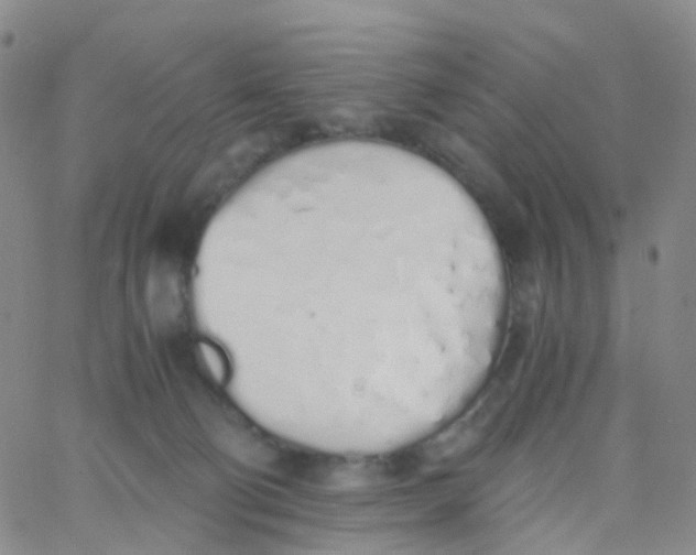 X0000060770130200512082043