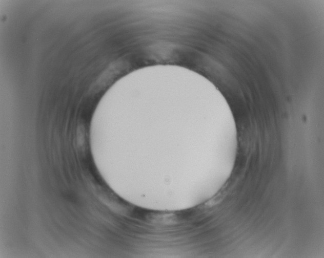 X0000060770132200512082043