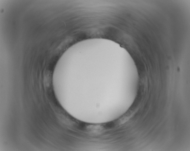 X0000060770133200512082043