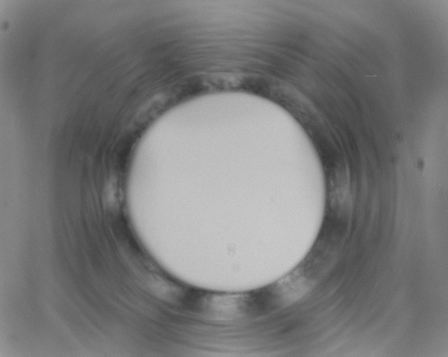 X0000060770134200512082043