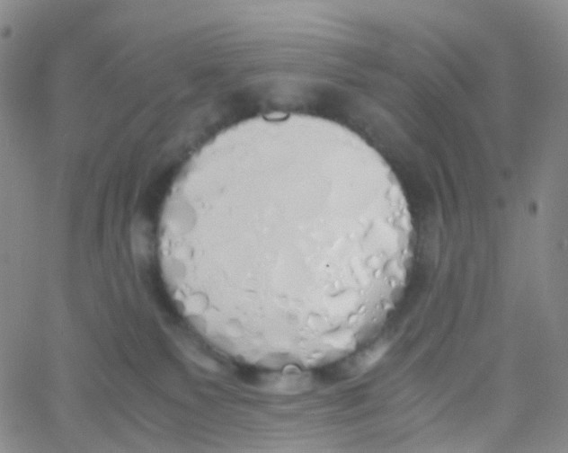 X0000060770135200512082043