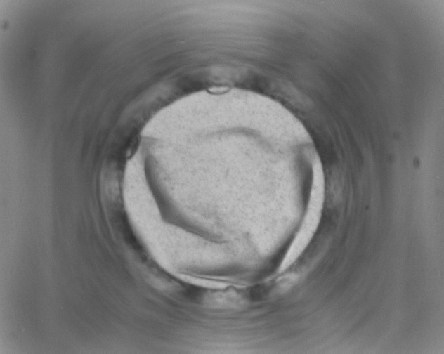 X0000060770137200512082043