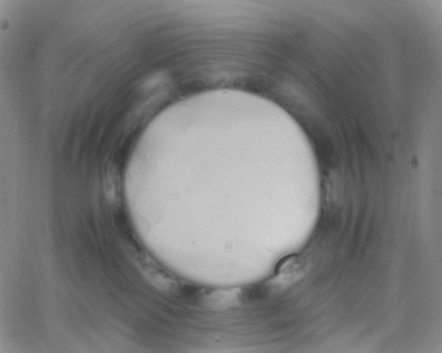 X0000060770138200512082043