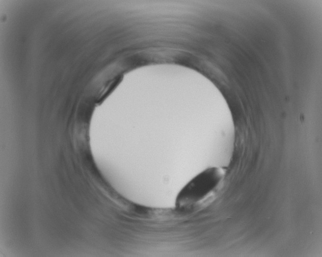 X0000060770141200512082043