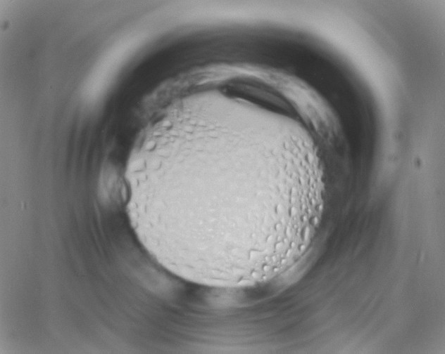 X0000060770142200512082043