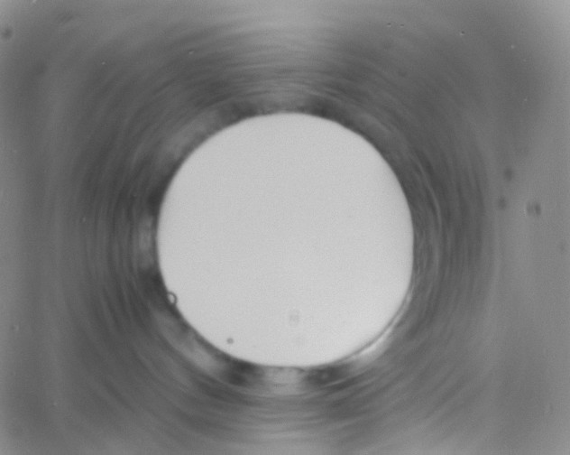 X0000060770144200512082043