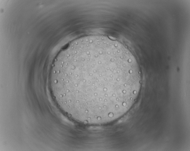 X0000060770145200512082042