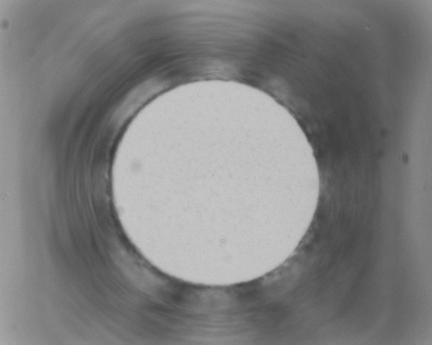 X0000060770146200512082042