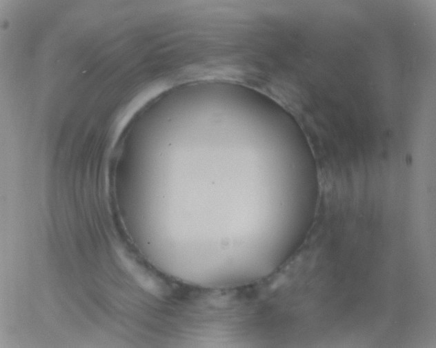 X0000060770148200512082042