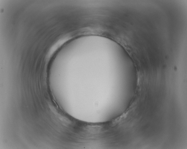 X0000060770150200512082042