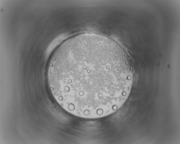 X0000060770151200512082042