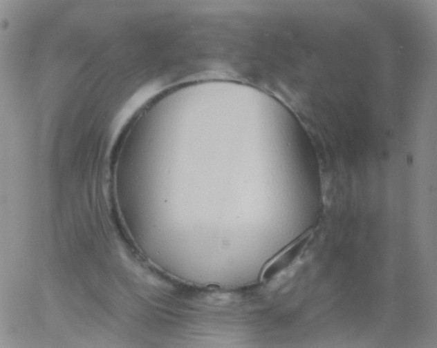 X0000060770152200512082042