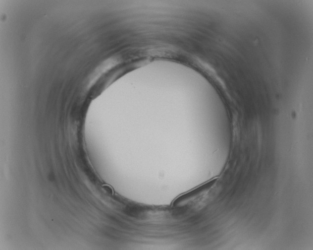 X0000060770154200512082042