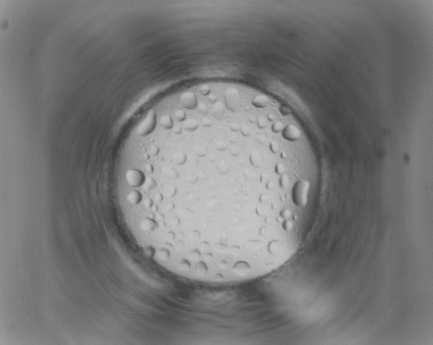 X0000060770155200512082042