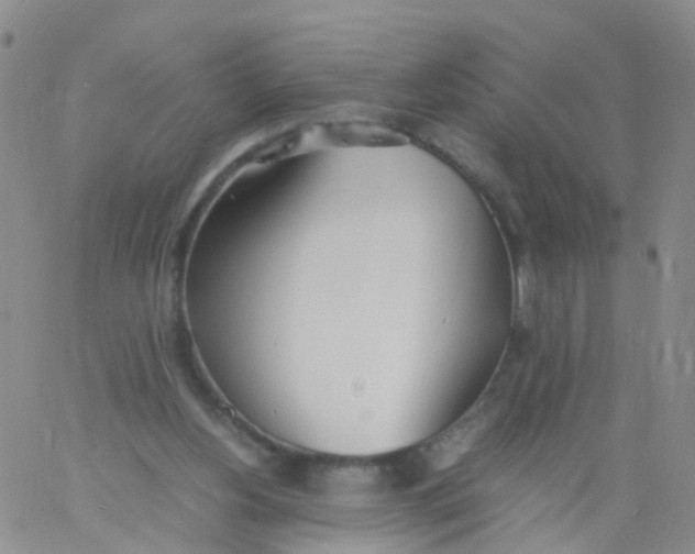 X0000060770156200512082042