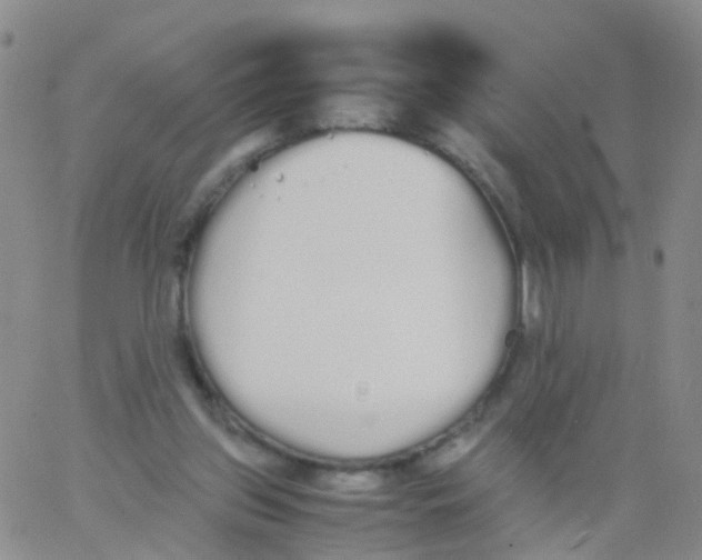 X0000060770157200512082042