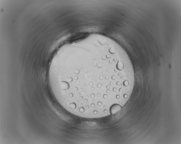 X0000060770159200512082042