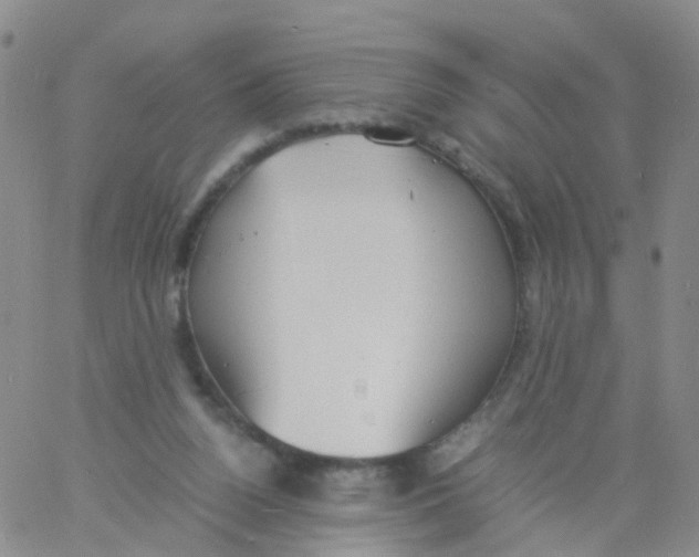 X0000060770160200512082042