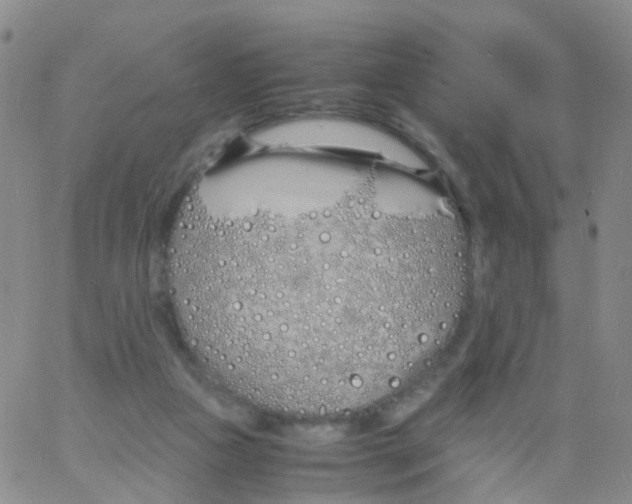 X0000060770161200512082042