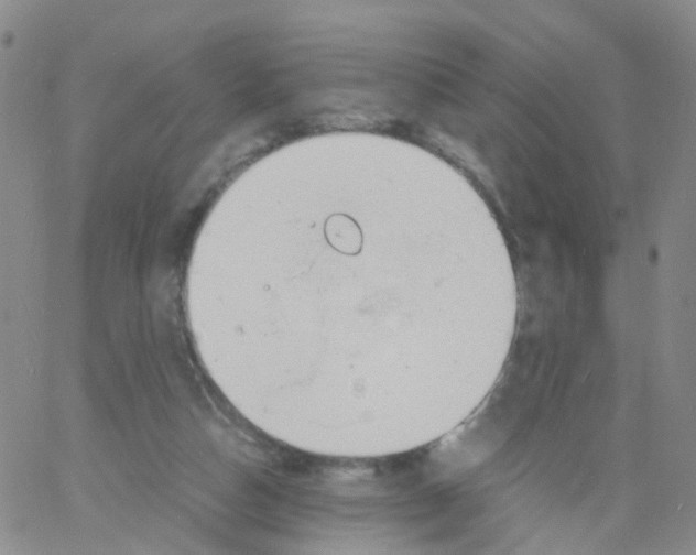 X0000060770162200512082042