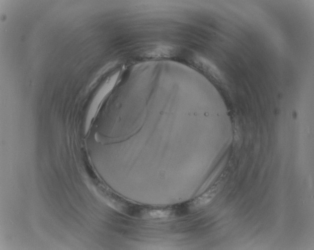 X0000060770163200512082042