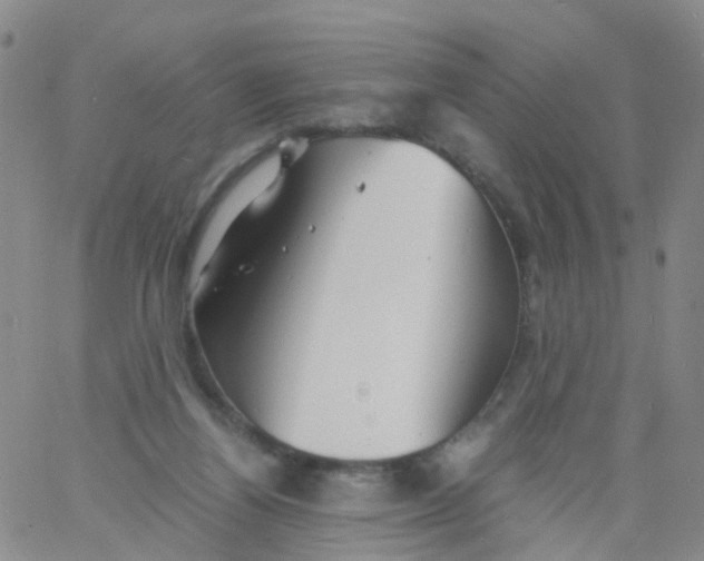 X0000060770164200512082042