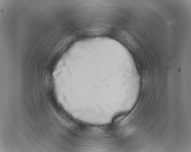 X0000060770166200512082042