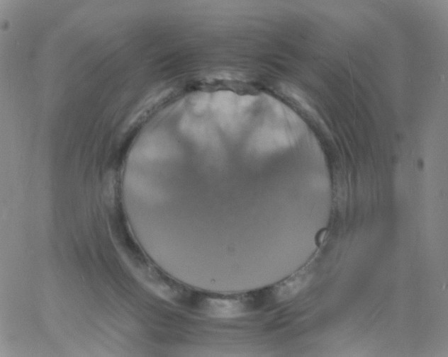 X0000060770167200512082042