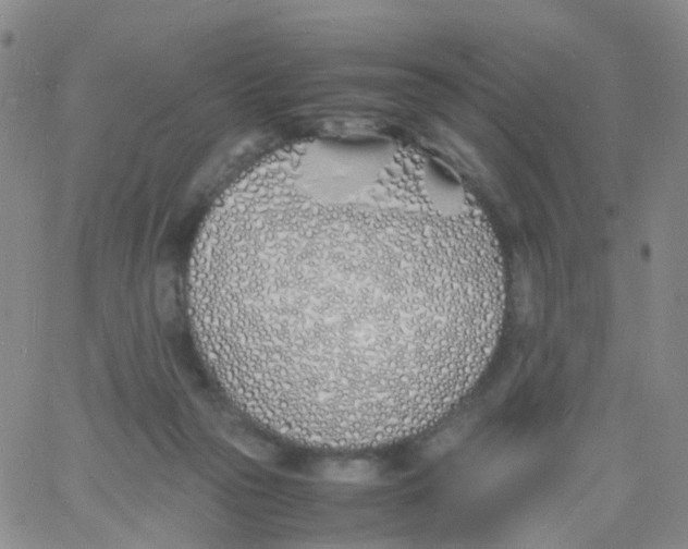 X0000060770169200512082042