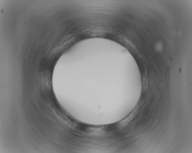 X0000060770170200512082042