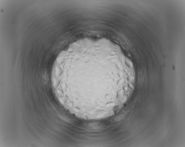 X0000060770173200512082042