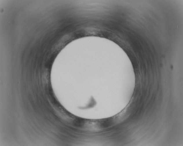 X0000060770174200512082043