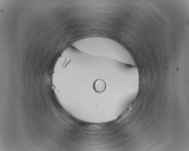 X0000060770176200512082043