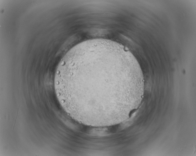 X0000060770179200512082043