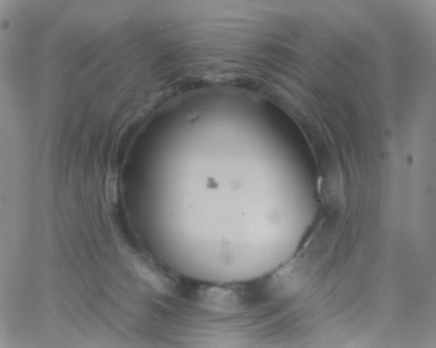 X0000060770180200512082043