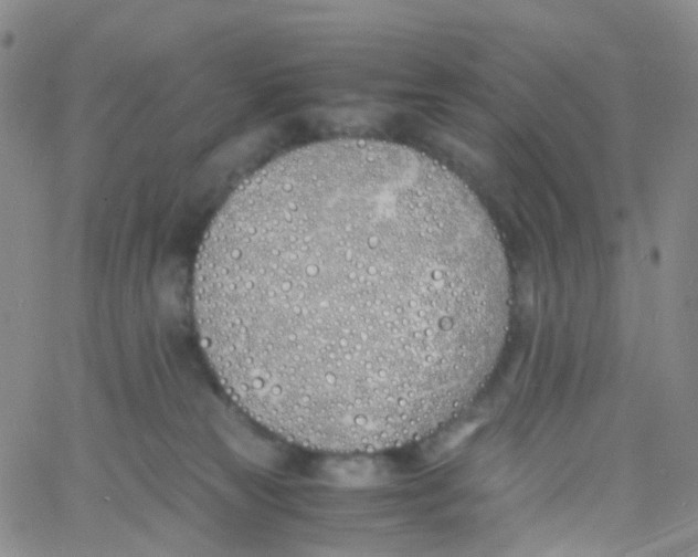 X0000060770181200512082043