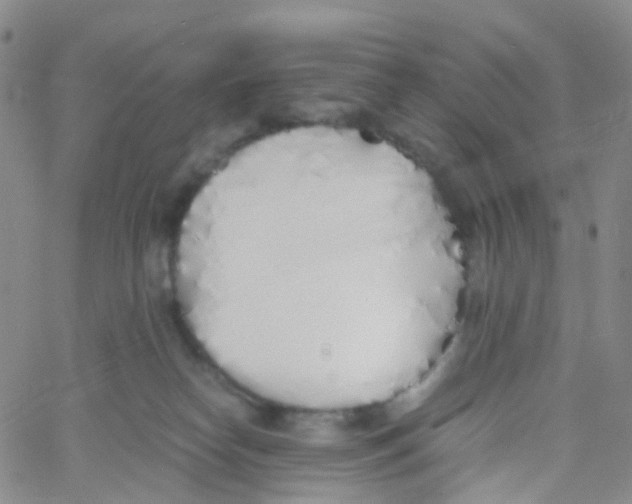 X0000060770182200512082043