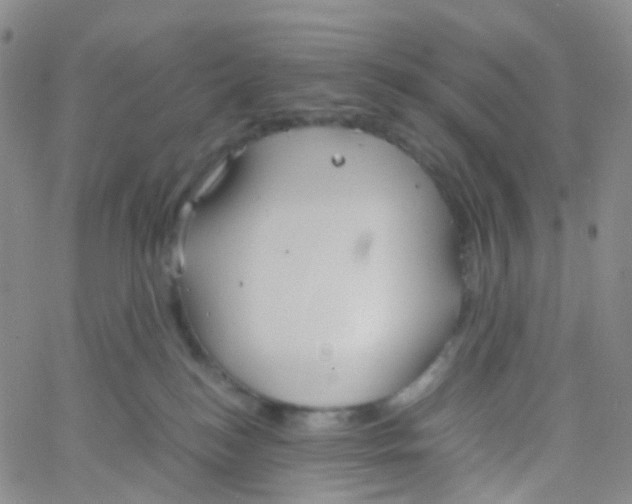 X0000060770184200512082043