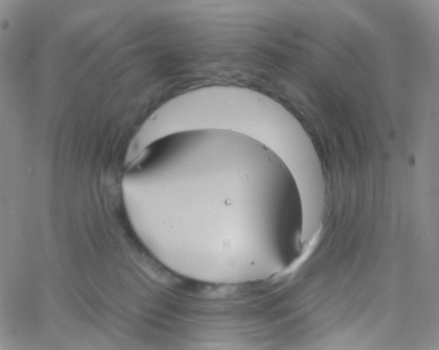 X0000060770186200512082043