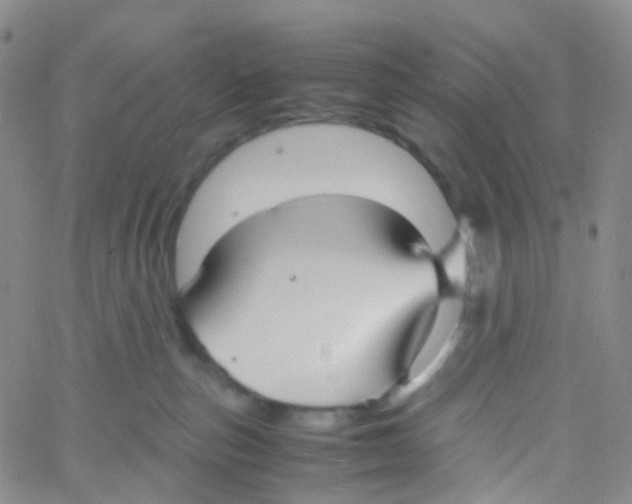 X0000060770187200512082043